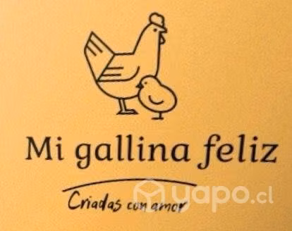 Huevos de gallina libre
