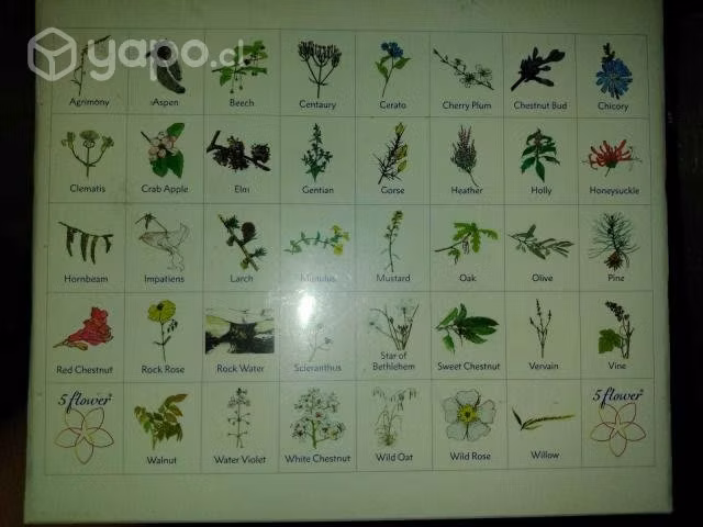Set 10 ml flores de bach healing herbs