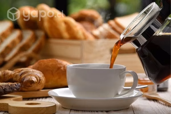 Coffe break en parral