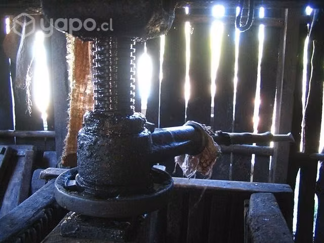 Molino de manzana