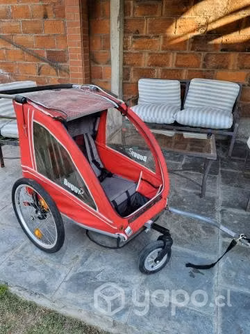 Carrito de Paseo