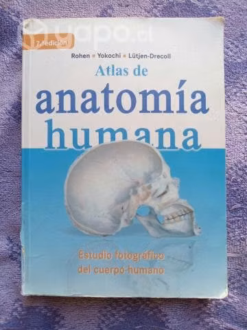 Atlas fotográfico de anatomía humana mini yokochi