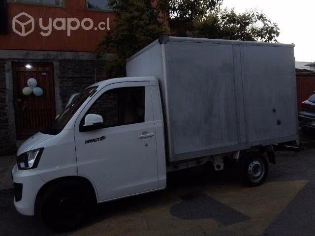 Furgón cargo box