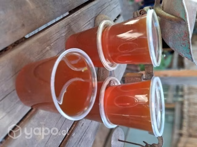 Miel de abeja