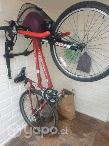 Bicicleta treck