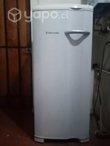Congelador vertical valor conversable