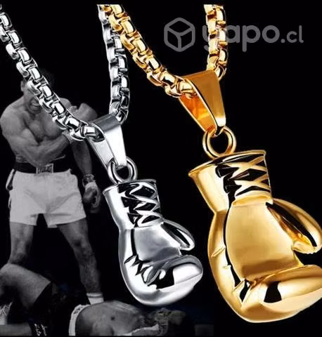 Collar de guante de box roky
