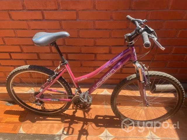 2 bicicletas