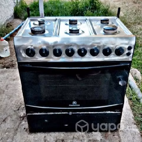 Cosina madensa