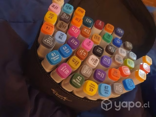 48 plumones set!