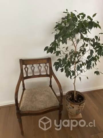 Sítiales de madera 2 - Imagen 3