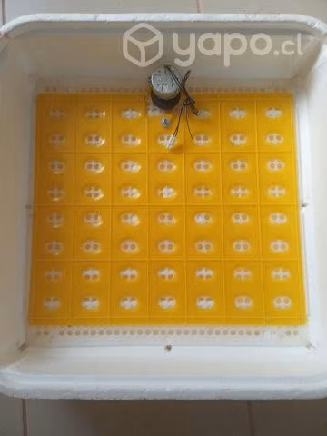 Incubadora ( 56 huevos gallina)