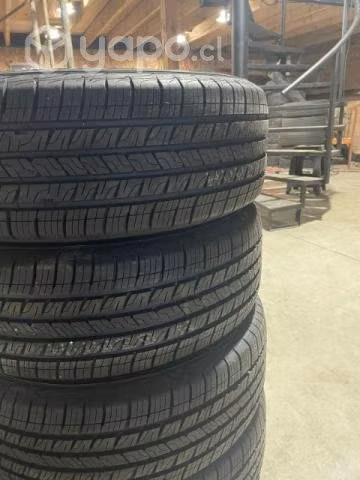 Neumaticos goodyear225/6017