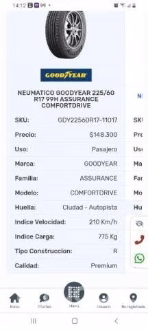 Neumaticos goodyear225/6017