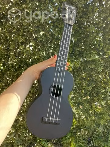 Ukelele, The Waterman by Kala