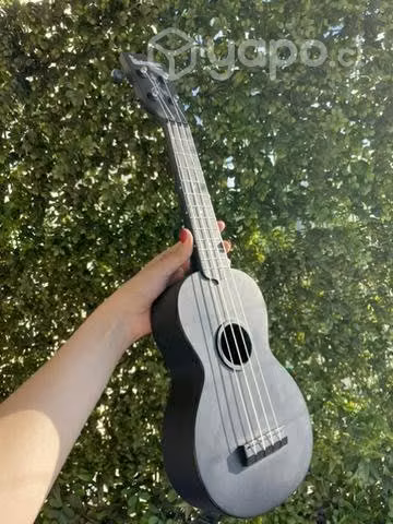 Ukelele, The Waterman by Kala