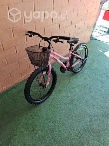 Oxford luna 20"