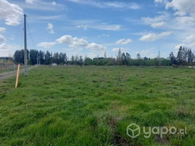 Parcela 5000m2 rol unico con luz - Imagen 2