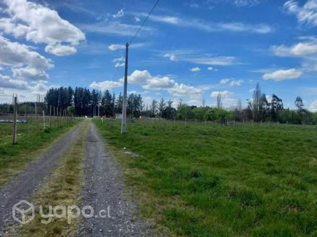 Parcela 5000m2 rol unico con luz - Imagen 7