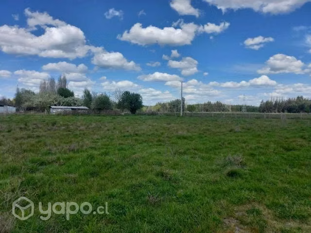 Parcela 5000m2 rol unico con luz - Imagen 3