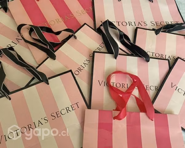 Bolsas de victoria secrets