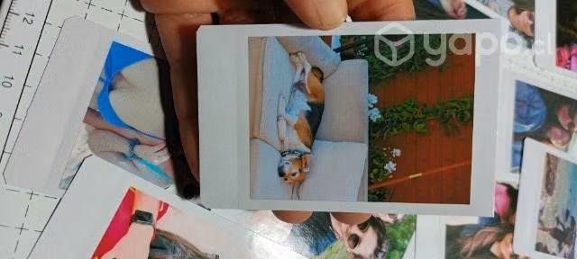 Fotografías Instax Mini - Imagen 2