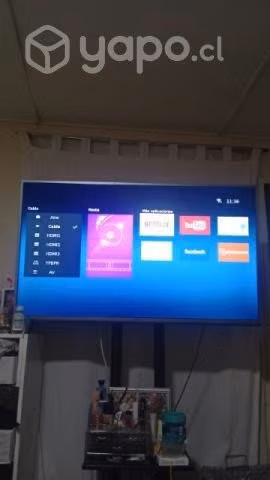 Televisión 49"