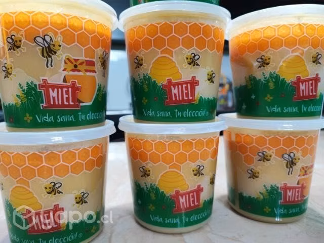 Miel Pura ,Sólida, del Sur de Chile