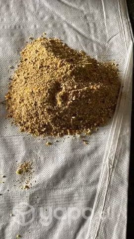 Alimento para Gallina Ponedora al x mayor