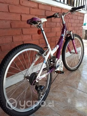Bicicleta treck aro 24 - Imagen 2