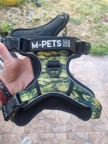 Arne de perro