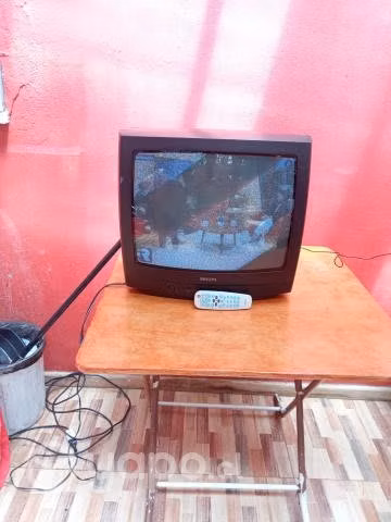 Televisión