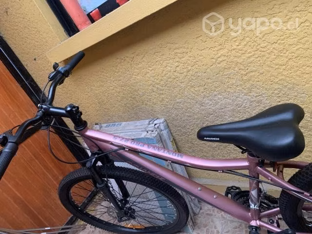 Bicicleta MTB avalanche, color rosada