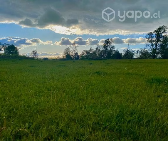 "Laderas del Sur" - Parcelas en Purranque - Imagen 5