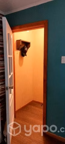Casa sector norte con cabaña interior y negocio