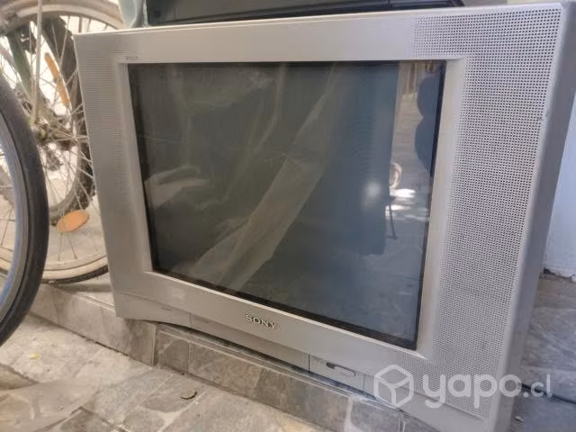 TV Sony 21 pulgadas
