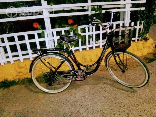 Bicicleta canasto