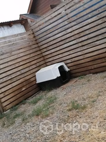 Casa perro plástico