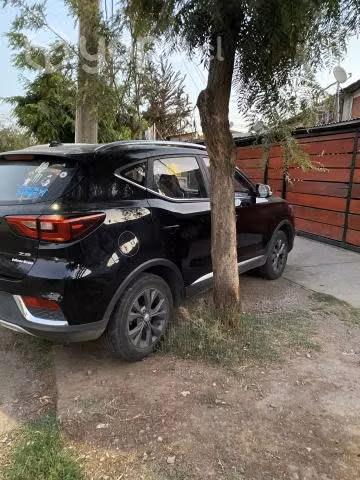 Mg zs 2019