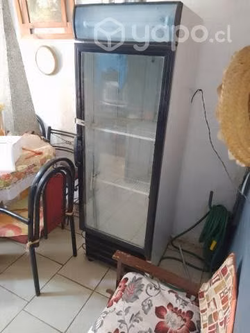 Cooler bebidas
