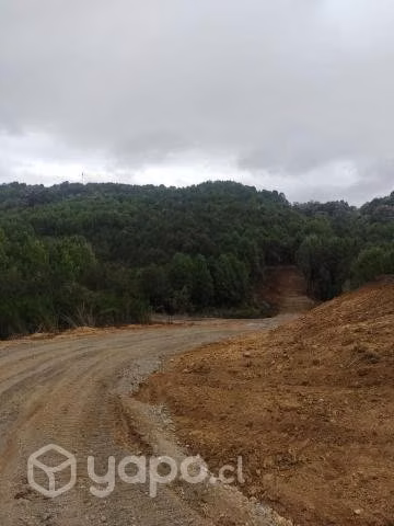 Vendo terreno de 5.000 metros cuadrados