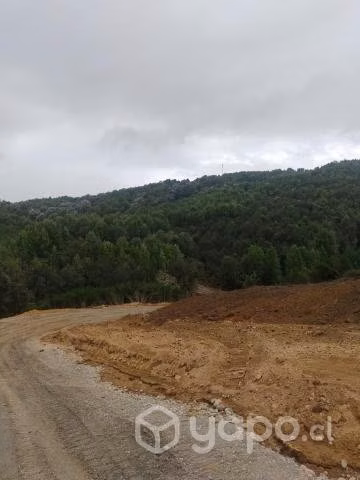 Vendo terreno de 5.000 metros cuadrados - Imagen 2