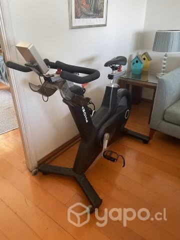 Bicicleta Spinning S300S PHOENIX como nueva