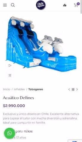 Tobogán delfines