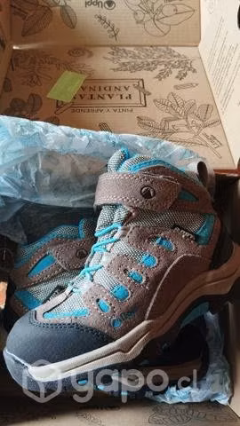 Zapatos lippi nuevo