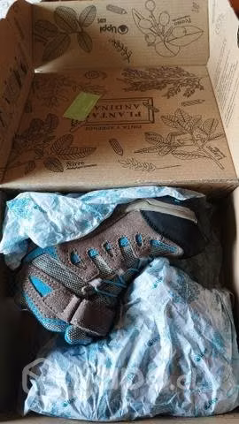 Zapatos lippi nuevo