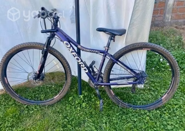 Bicicleta Venus 1
