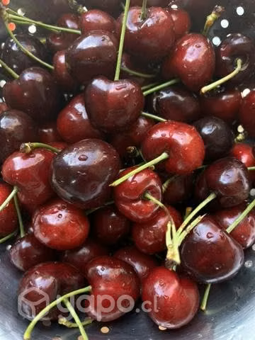 Cerezas.