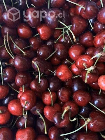 Cerezas.