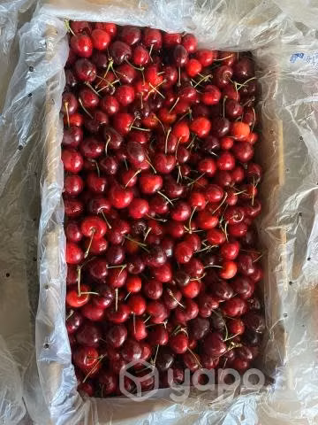 Cerezas.